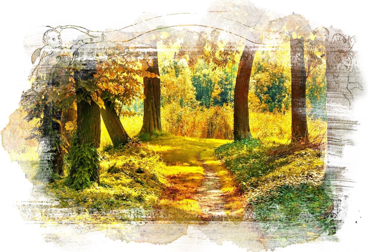 imgbin_forest-tree-autumn-nature-landscape-png imgbin_forest-tree-autumn-nature-landscape-png